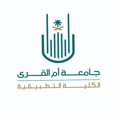 البرنامج التدريبي لتطبيقات القيادة الإستراتيجية والإدارة الحديثة. DSLMA102